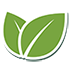 Cung cấp cây xanh